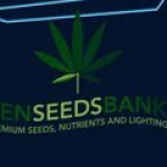 ZenSeeds Bank Profile Picture
