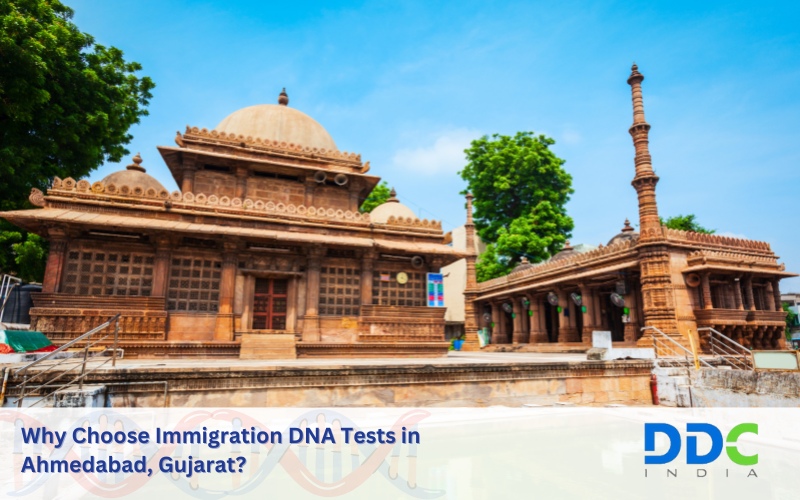 Why Choose Immigration DNA Tests in Ahmedabad, Gujarat?: bhardwajatul — LiveJournal