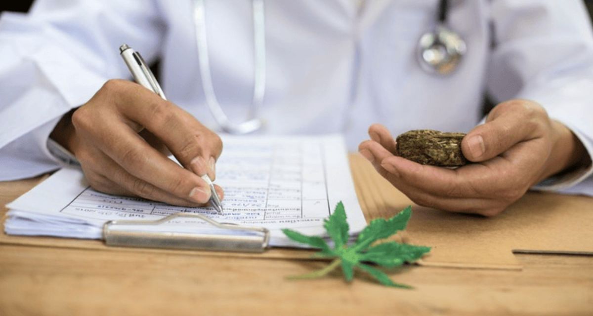 The Top 5 Things To Look For in a Marijuana Doctor in Utah – Cannabis Updates, News & Insights