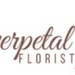 everpetal florist Profile Picture