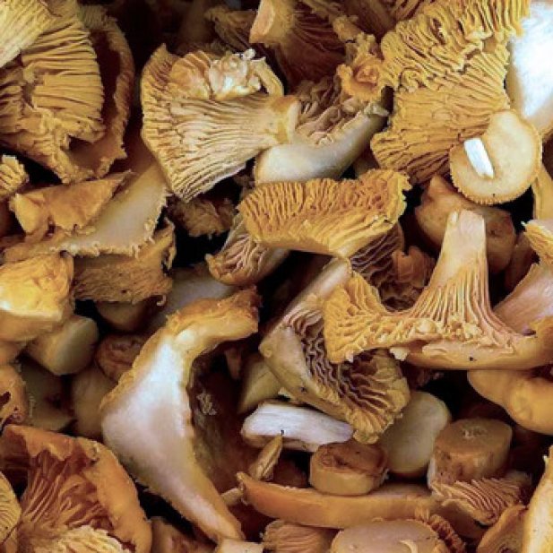 How Long Do Dried Mushrooms Keep?