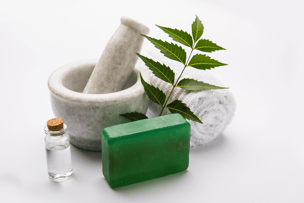 Nourish Your Skin: Neem Soap Benefits Revealed  – Sri Sri Tattva