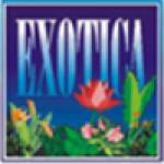 Machanby Exotica Profile Picture