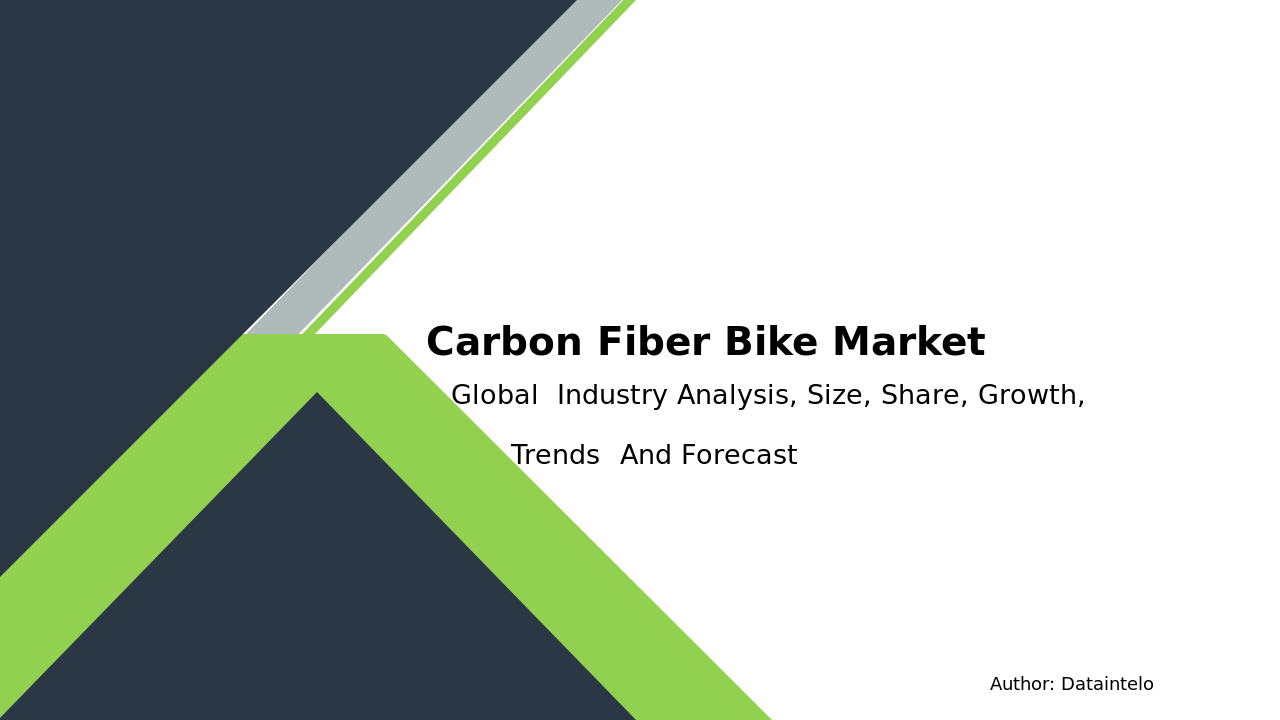 Carbon Fiber Bike Market Research Report 2032