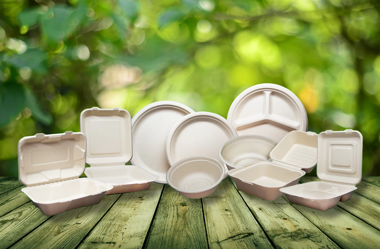 Sustainable Dining Made Easy – Zero Waste Solutions with Plant Plate – Plant Plates