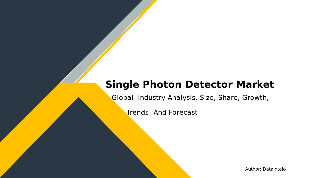 Single Photon Detector Market Research Report 2032