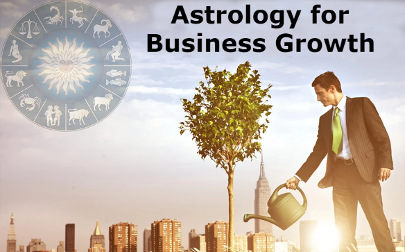 Maa Ambe Astrologer: Astrology for Business Growth