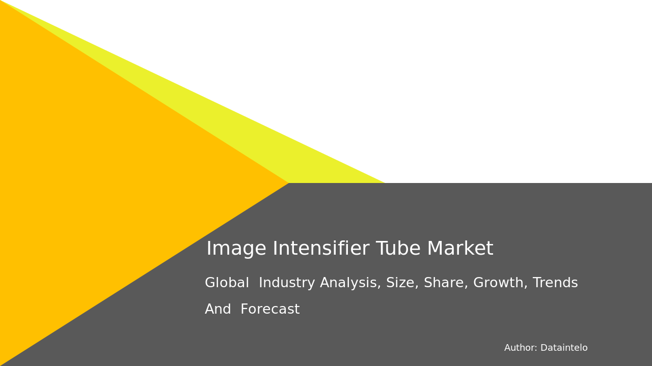 Image Intensifier Tube Market Research Report 2032