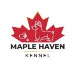 Maple Have Kennel Profile Picture