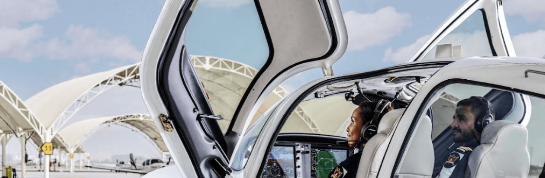 Pique Production Cover Image