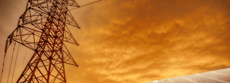 Enernew Solar Park in India Cover Image