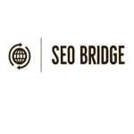 SEO Bridge Profile Picture