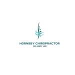 Hornsby Chiropractor Dr Andy Lee Profile Picture