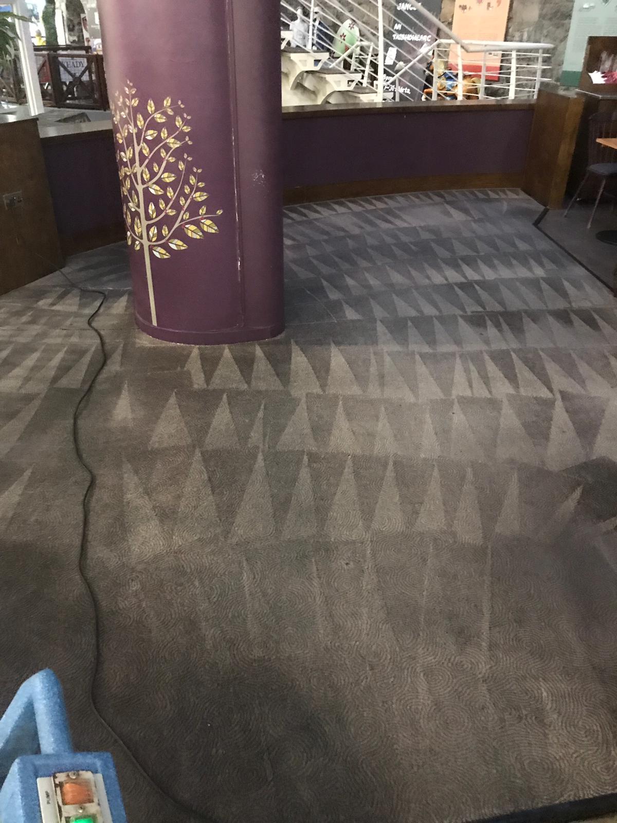 Carpet Cleaning Dublin 3 | Professional Carpet Cleaning Services