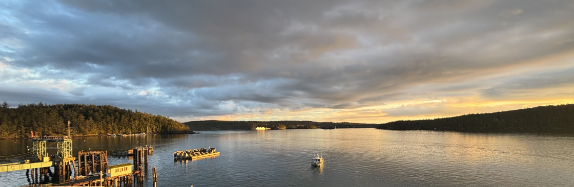 The Landing At Orcas Cover Image