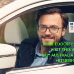 aussiedocsforsale com Profile Picture