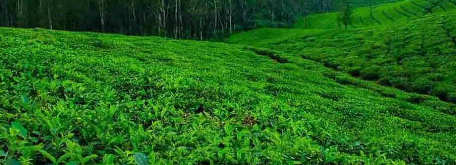 Ooty Kodaikanal Tour Packages Cover Image