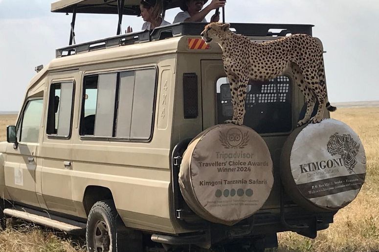 Safaris in Tanzania - Tanzania luxury Safari Lodges - Kimgoni Tanzania Safaris