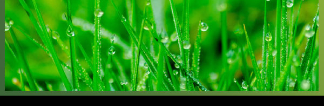 Weed Pro Lawn Care Cover Image