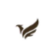 Rohit Sharma Profile Picture