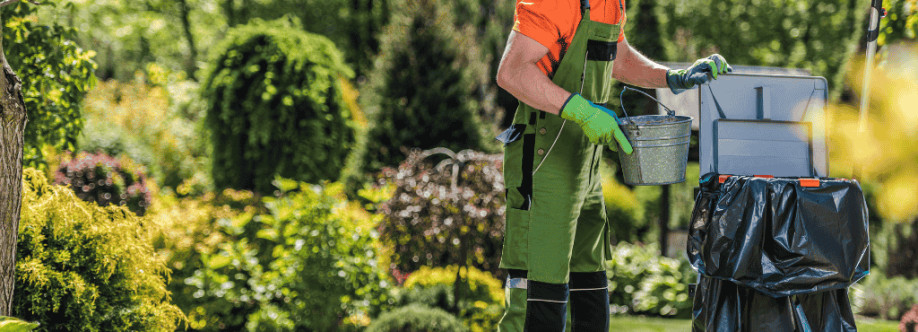 Dot Palm Landscaping Cover Image