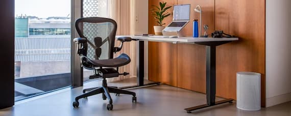 Sit, Stand, Succeed: Everything You Need to Know About Height Adjustable Desks - Every Single Topic