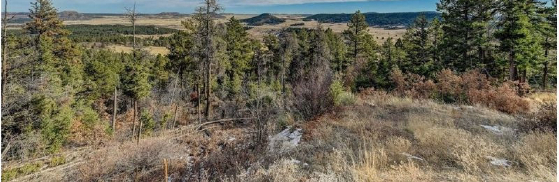 Clear Creek Fire Mitigation Cover Image