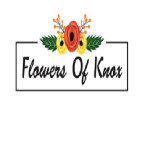 flowersof knox Profile Picture
