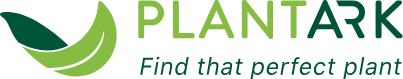 Discover Healthy, Hand-Picked Plants Delivered Anywhere in Australia