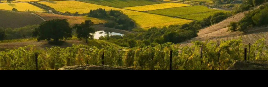 Platypus Tours Cover Image