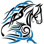 Coral Stone Stables Profile Picture