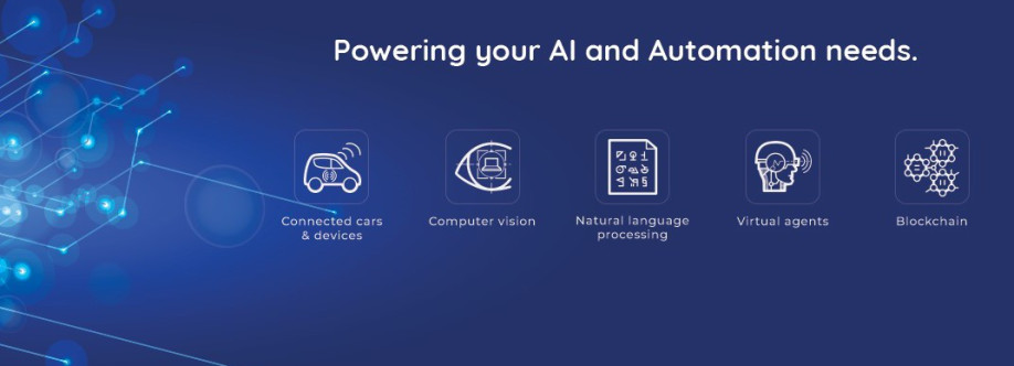 Hyena Information Technologies Cover Image