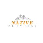 Native Plumbing LLC Profile Picture