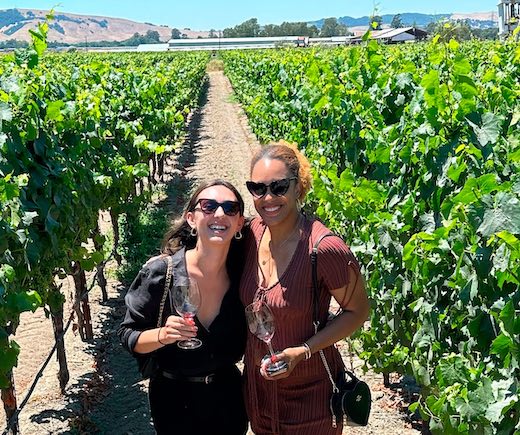 Discover the Diversity of Napa Valley Wineries and Their Signature Styles - Top Bizlists