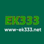 EK333 Net Profile Picture