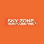 Sky Zone San Diego Miramar Profile Picture