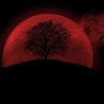 Marketing Services Profile Picture